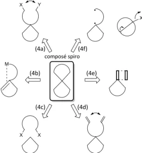 Figure 18 : Diverses approches pour la construction de spirocycles 