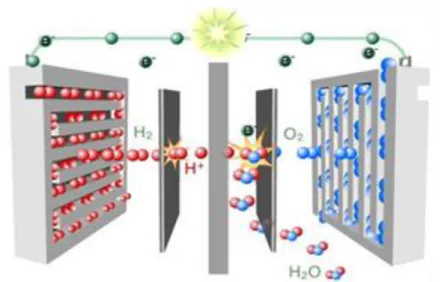 Figure 2 : Schéma de fonctionnement de la pile à combustible à membrane échangeuse de proton