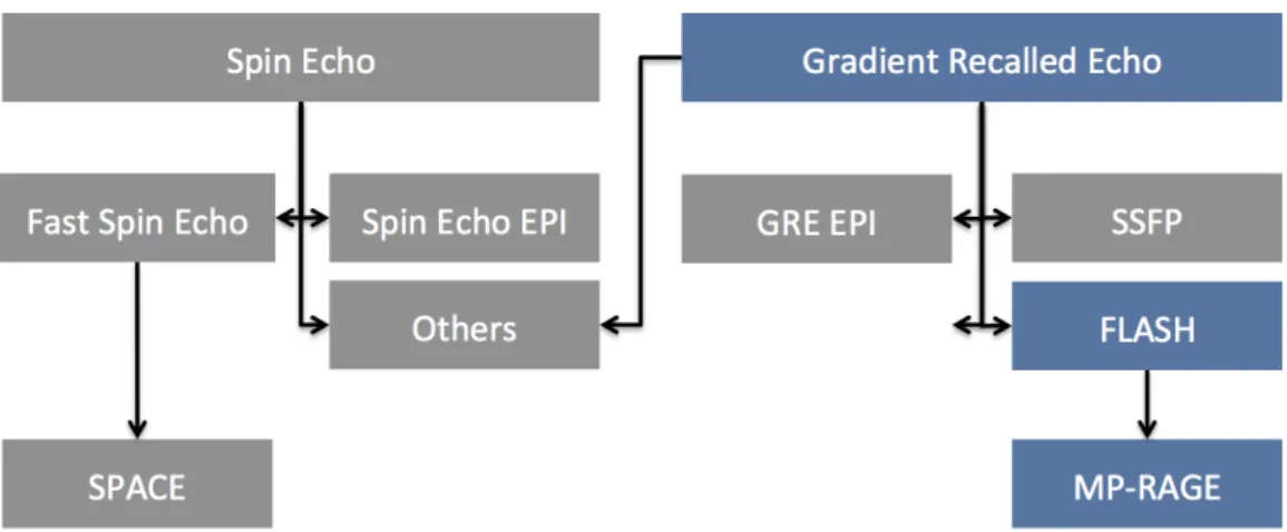 Figure 1.3: Schematic overview of the basic pulse sequences in MRI. Spin Echo (Hahn, 1950b), Fast Spin Echo (Feinberg et al., 1985b), Echo Planar imaging (EPI (Mansfield, 1977)), SPACE (Mugler et al., 2000), Gradient Recalled Echo (GRE), Steady-State Free 