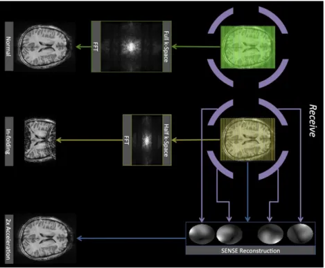 Figure 2.3: Schematic overview of 3 imaging strategies, each one indicated with arrows of a different color.