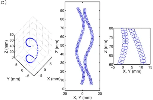 Figure 2.3 – Trajectoire d’une bulle d´eformable dans un environnement au repos [Riboux, 2007].