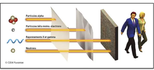 Figure 1 : Les différents rayonnements ionisants (source : CEA) 