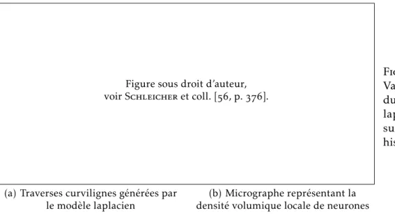 Figure sous droit d’auteur, voir Schleicher et coll. [, p. ].
