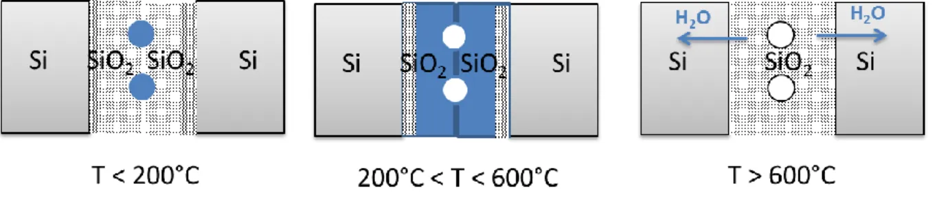 Figure 19 : Schématique de diffusion de l'eau dans le cas d'un collage SiO 2 -SiO 2  hydrophile (oxyde thermique  sur oxyde thermique) [41] 