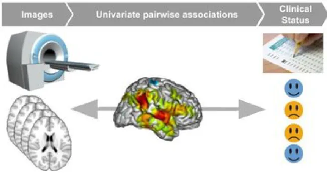 Figure 1.6: Univariate statistics: Associations at the group level