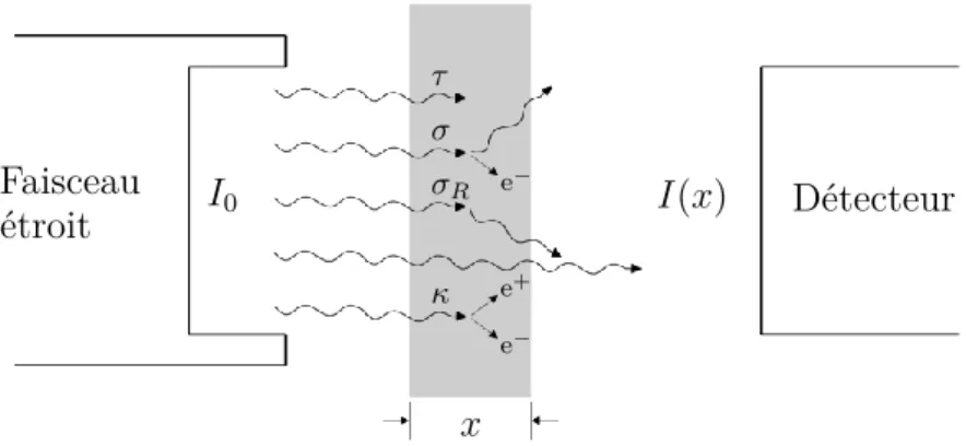Figure 1.6 – Schéma de l’atténuation d’un faisceau de photons I 0 traversant un milieu d’épaisseur x 
