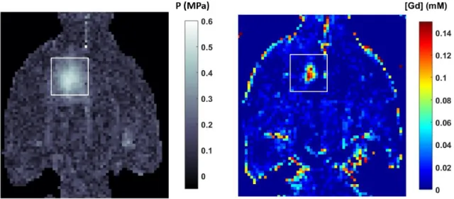 Figure 2-24: A – Pressure map computed from the phase of the ARFI image with the equation (2.6)