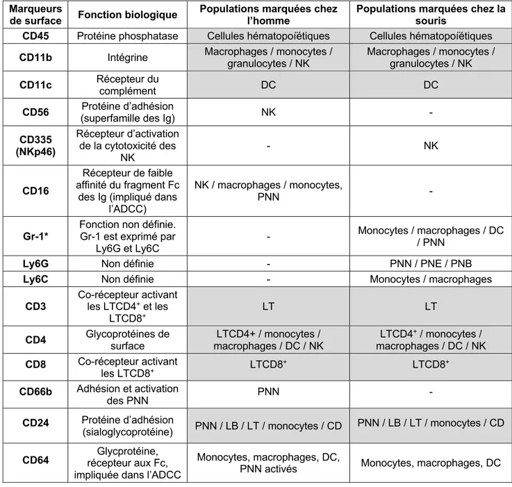 Tableau 1 : Principaux marquages de surface des cellules inflammatoires hématopoïétiques