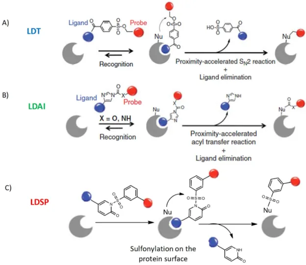 Figure 30.  A) Mechanism of LDT chemistry B) mechanism of LDAI chemistry C) mechanism of LDSP chemistry