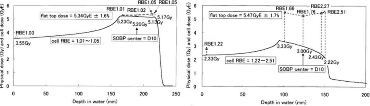 Figure 9: Uniformité de la dose biologique dans le SOBP d'un faisceau de proton (gauche) et d'ions carbone  (droite) 