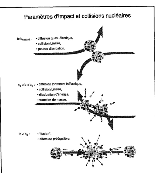 Fig 0.1: Paramètres d'impact et collisions nucléaires.