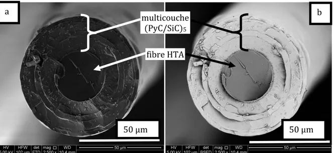 Figure  53 :  Micrographies  MEB  SE  (a)  et  BSE  (b)  du  revêtement  multicouche  (PyC/SiC) 5   déposé  sur  un  monofilament de carbone