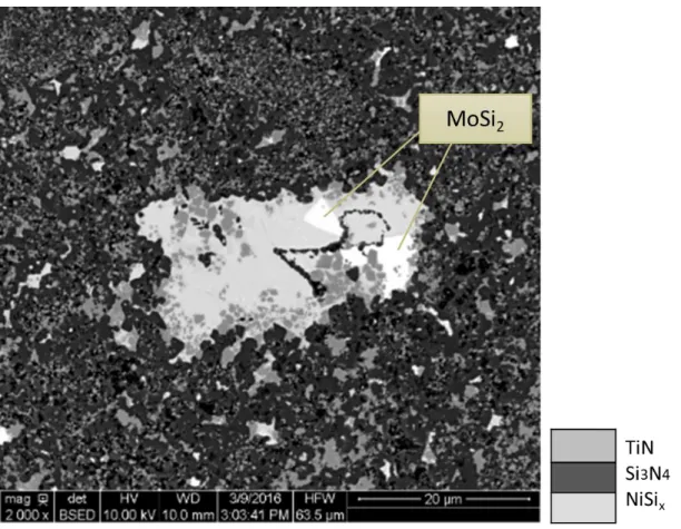 Figure 49: Cliché MEB de la matrice nitrurée préparée avec la poudre Neyco et contenant le composé NiSi x