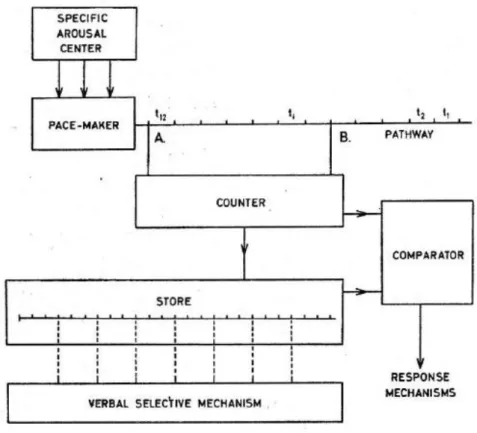 Figure 1.6: The clock model. The clock is composed of a pacemaker that emits regular pulses at a constant  interval