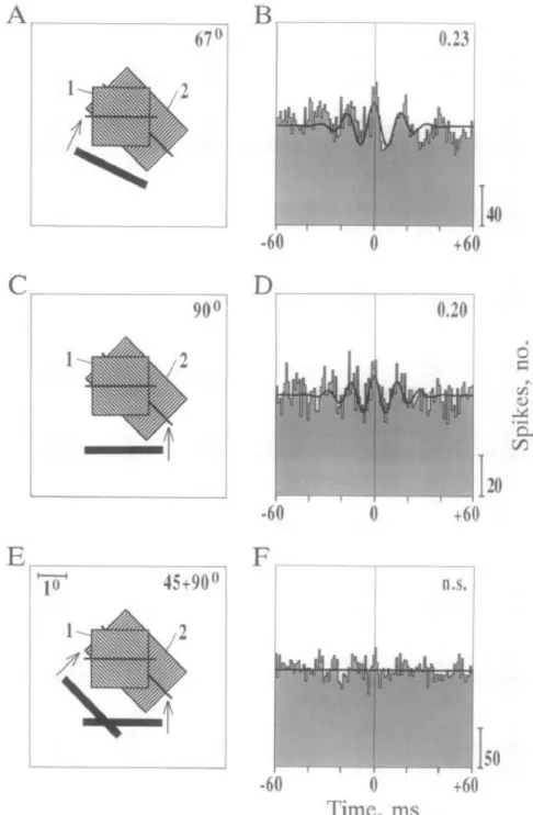 Figure 1.10: Temporal binding through gamma oscillation coherence. (A and C) Stimulating visual  columns 1 and 2 with single bars entailed (B and D) the inter-columnar synchronization of neural  excitability at gamma frequency