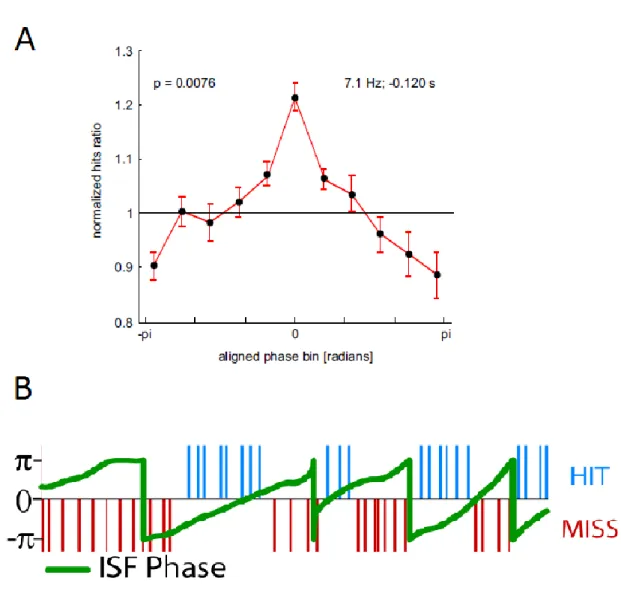 Figure 1.9: Cortical oscillations shape perception in time. (A) Endogenous pre-stimulus alpha phase in  fronto-central areas predict whether a visual stimulus will be detected or missed