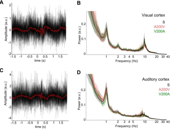 Fig. 3: Oscillatory entrainment and jitter procedure. In all lag-adaptation blocks, AV stimuli were presented  at a rate of 1 Hz +/- 100 ms
