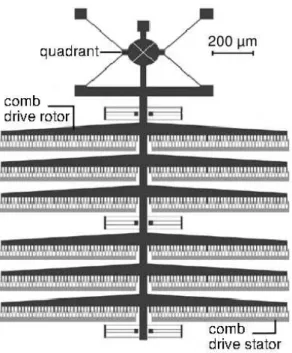 Figure 1.2: Illustration of a comb drive system actuating a bi-axial cell stretcher. Draw- Draw-ing adapted from [36].