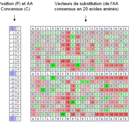 figure 13 : La figure représente la matrice PSSM  des 20 premières positions de famille des domaines Tudor (à l’aide du  programme PSSM Viewer en utilisant le profil PFam 00567 pour les domaines Tudor)