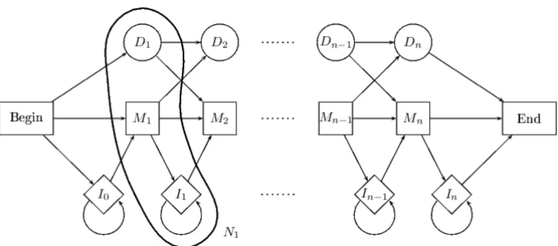 figure 15 : Illustration du Plan7 utilisé au sein de HMMer; chaque triplet N i  = (Di ,  M i , I i ) représente un nœud du HMM
