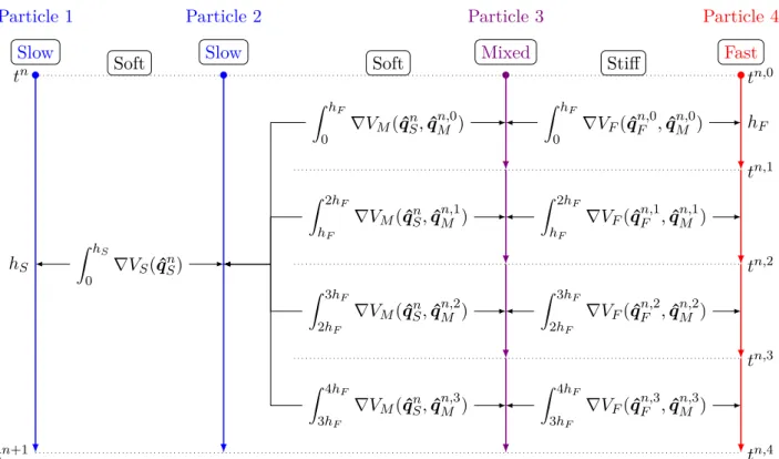 Figure 2.8 – Asynchronous integration of four particles with a slow-fast synamics, h S = 4h F