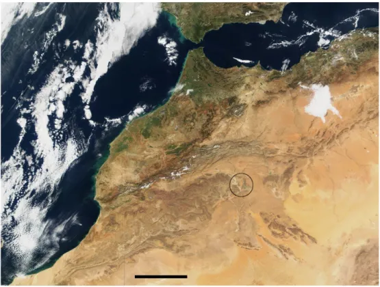 Fig. 1.1 – Vue satellitaire du Maroc, obtenue sur le site internet visibleearth.nasa.gov