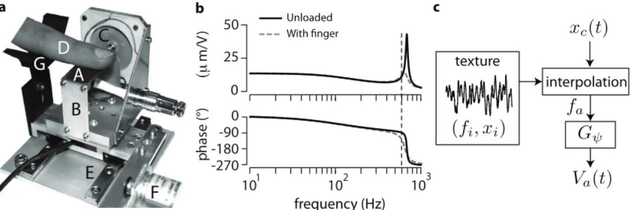 Figure 3.3 – Actuator operation. a: The stimulator, C, mounted on a linear stage, E, is fixed relatively to the finger, D 