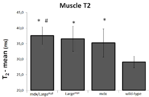 Figure  2.2:  Muscle  T2  for  mdx/Large myd ,  Large myd ,  mdx  and  wild-type  mice