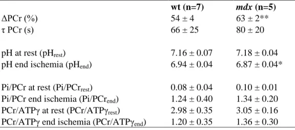 Table 3.2. Energetic metabolism analysis from  31 P-spectroscopy in old mice. 