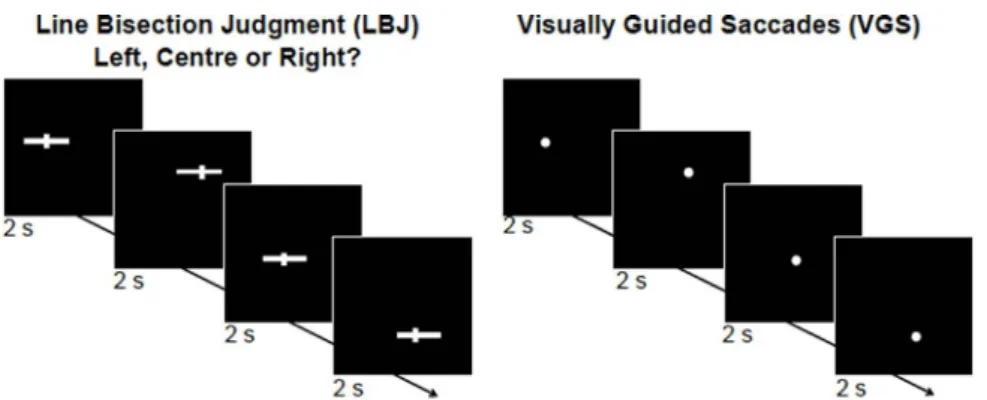 Fig. 1. The paradigm consisted of alternating 30 s blocks for the line bisection judgement (LBJ) task and the visuomotor control task (visually guided saccades with manual responses, VGS)