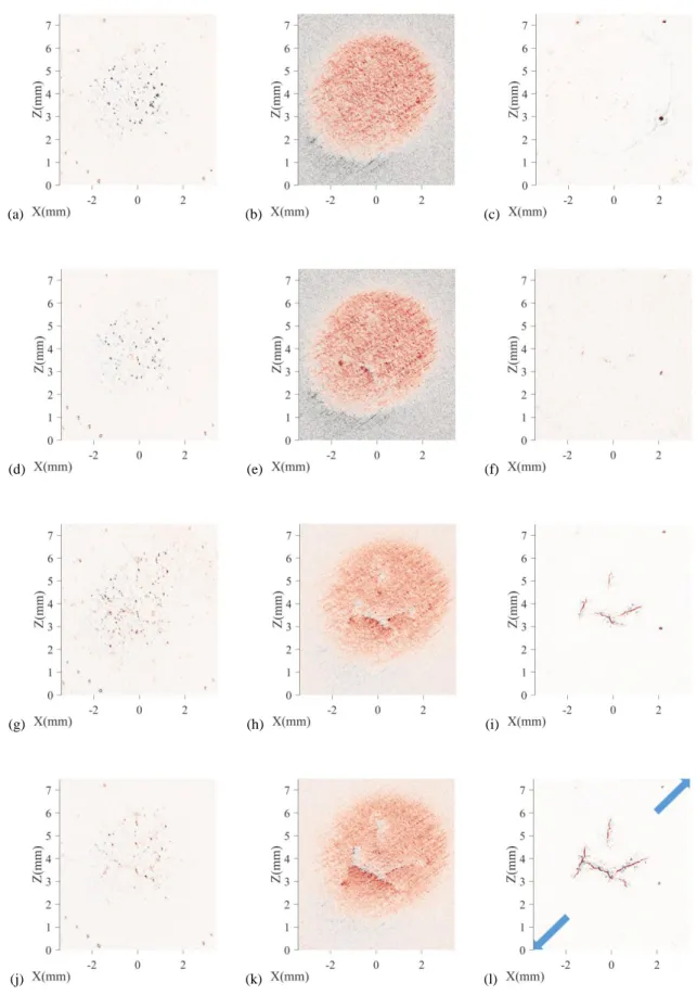 Fig. 6 Cracks on the surface of K46T8-21 specimen when ΔT=180°C coupled with a static mean tensile stress σ b  = 50 MPa  evidenced in HMC residual maps