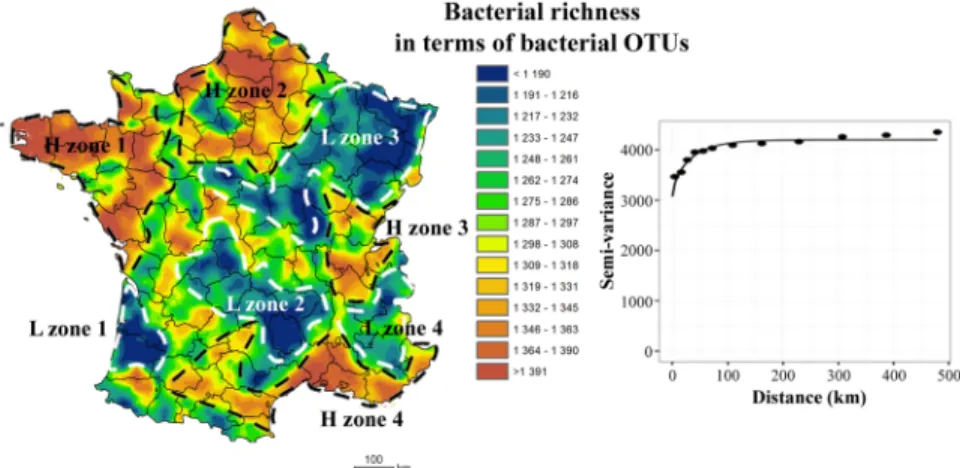 Fig 2. Mapping and robust variograms of soil bacterial richness on the scale of France
