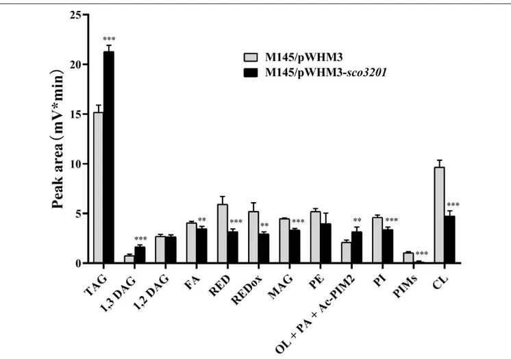 FIGURE 1 | Analysis of total lipid content of S. coelicolor M145/pWHM3 (black histograms) and S