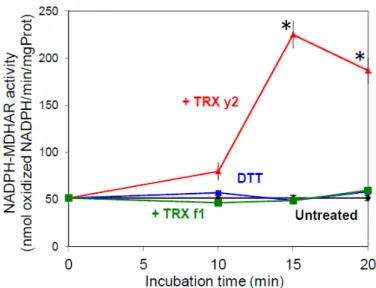 Figure 7. Effect of TRX on NADPH-dependent MDA reductase (MDHAR) activity in leaf extracts