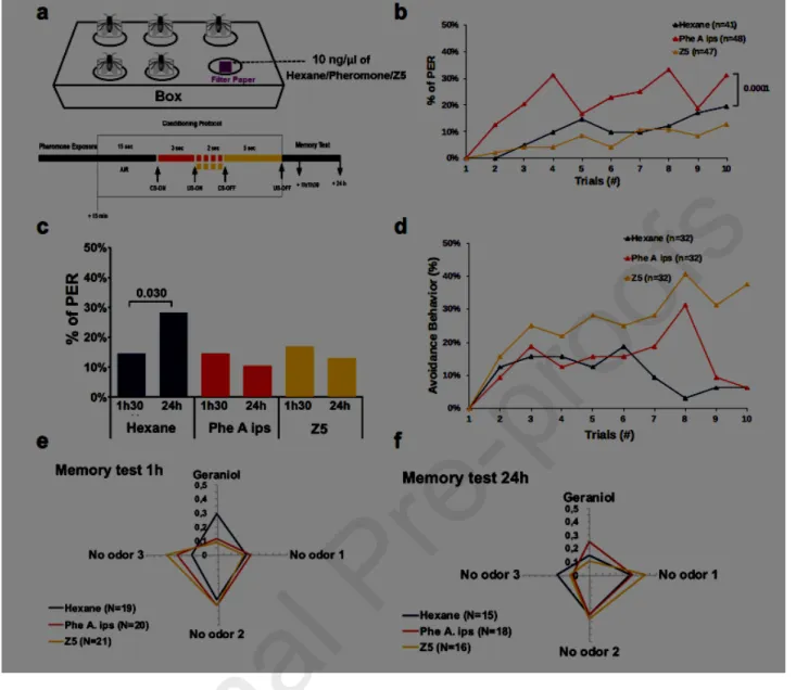 Figure 3. Pheromone Modulation of Appetitive and Aversive Learning/Memory Formation.  a)  Pheromone  exposure  set-up  (picture  above)  and  conditioning  protocol  (box  below)