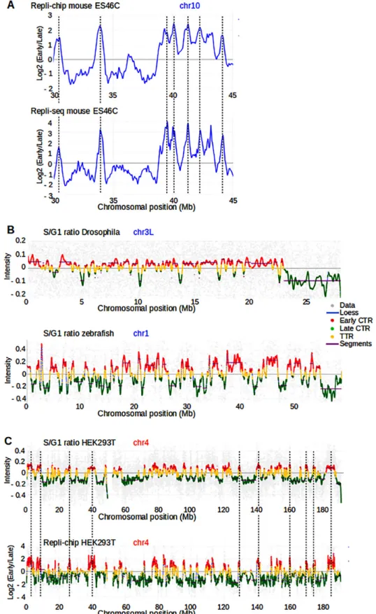 Figure 3. The START-R suite allows analysis and visualization of both Repli-chip and Repli-seq data from different model systems