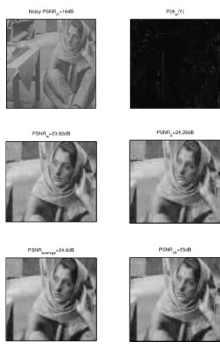 Fig. 2. Illustration on a synthetic example (texture+gaussian im- im-age with PSNR in = 20dB)