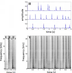 Fig. 1: NMFD decomposition of the spectrogram V . The top matrix is H and the left matrix is W = [U 1 U 2 U 3 ]