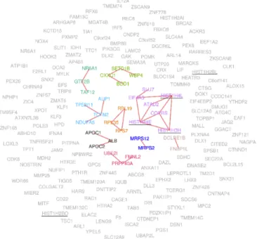 Fig. 2. Visualization of the subgraph formed by the genes se- se-lected by GN-GCCA. Colors show different connected  com-ponents and genes that belong to HSA 977225 are underlined