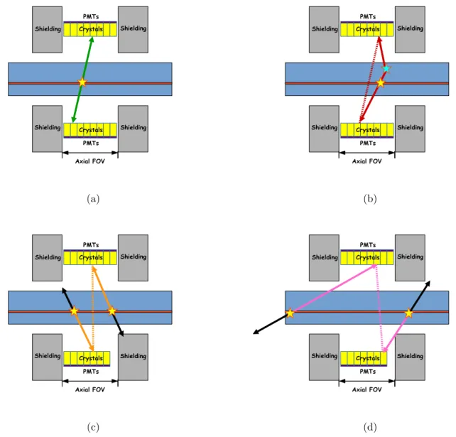 Figure 2.4: The yellow star indicates a positron annihilation vertex. The green arrow is a true coincidence (a), only one useful signal for PET imaging