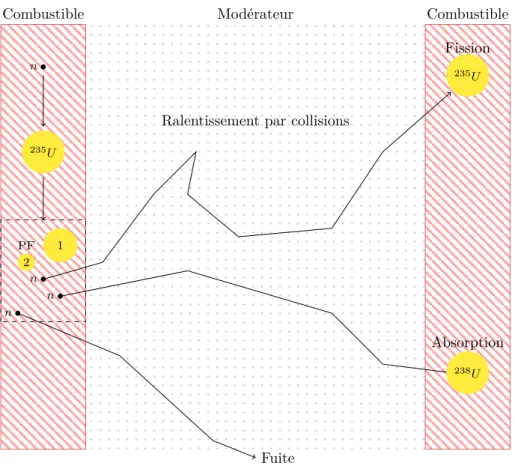Figure I.1 – Exemple des trajets possibles d’un neutron de sa naissance à sa mort dans un réacteur hétérogène
