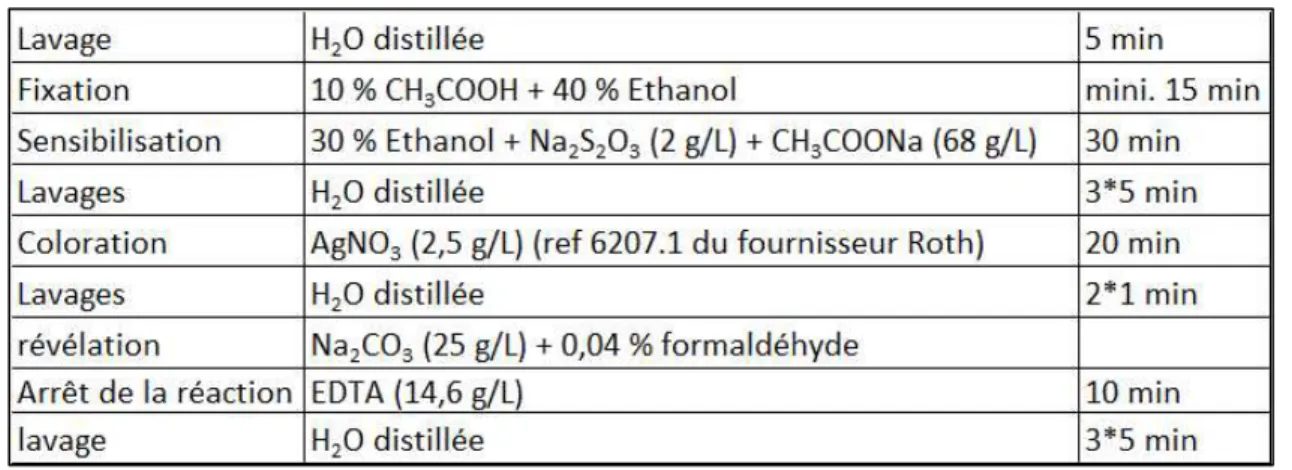 Tableau 2.7 : Protocole de coloration à l’argent des  SDS-PAGE  et des  BN-PAGE .