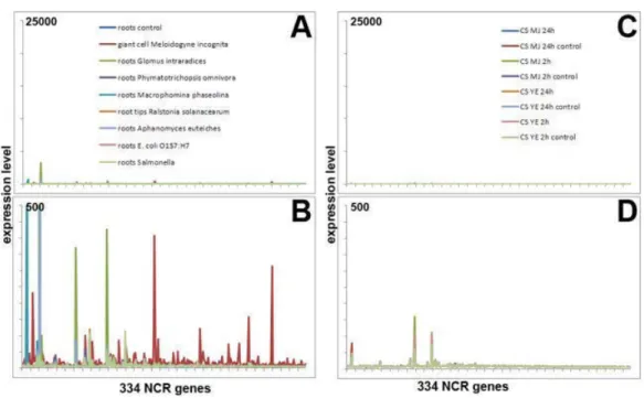 Figure 24. Expression of NCR genes during microbial infections and elicitor treatment 