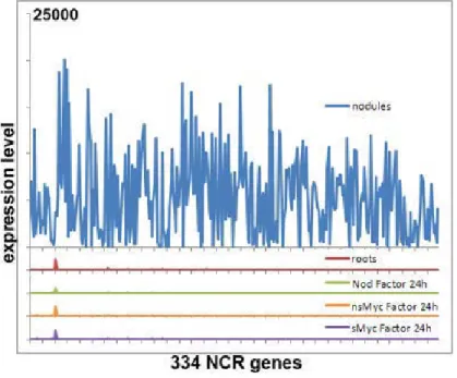 Figure 15. NCR gene expression in response to Nod factors and Myc factors  