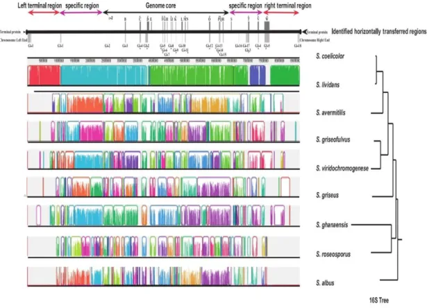 Figure  1.  5.  The  genomes  of  various  Streptomyces  were  aligned  with  the  8.67  Mb  genome of S