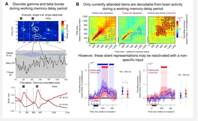 Figure 1.9B). While currently attended representations appear to be stored in patterns of neural firing,  unattended, yet still task-relevant, items do not seem to require accompanying neural activity