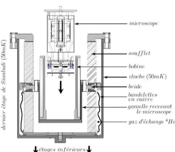 Fig. 1.14: Schéma de l’installation du micro- micro-scope et de la bobine de champ sur l’étage à 50 mK .
