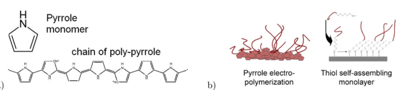 Figure 3.8: a) Chemical structure of a pyrrole monomer and poly-pyrrole. b) Morphology of pyrrole and thiol immobilized DNA.
