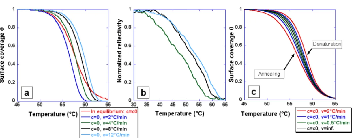 Figure 4.12: Comparison between equilibrium and non-equilibrium thermal denaturation curves.