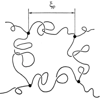 Figure II.4: Représentation schématique d'une portion de l'amas infini dans le modèle SSDG (les bras morts ne sont pas représentés)